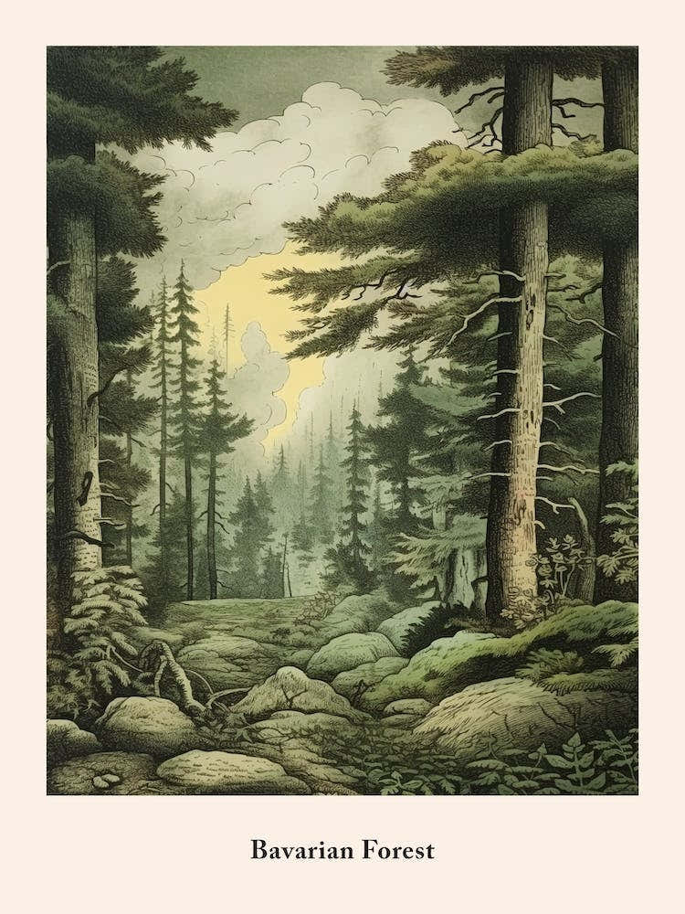 Bavarian Forest
