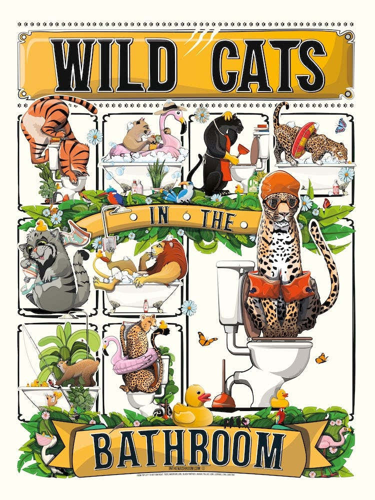 Wildcats In The Bathroom