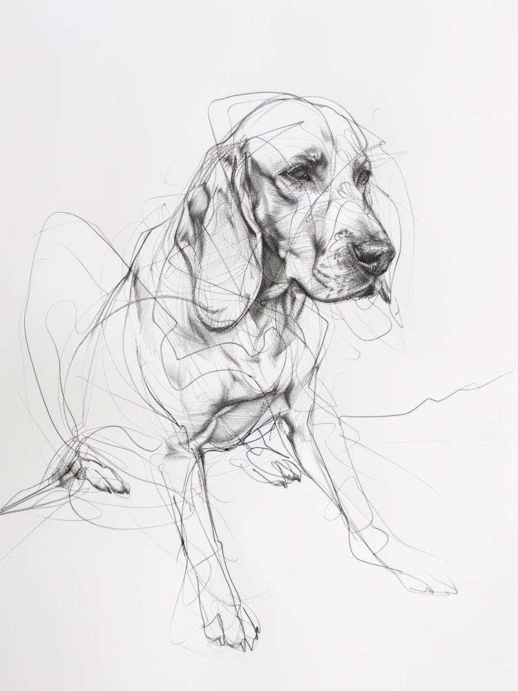 Minimalist Beagle Dog Charcoal Line 1