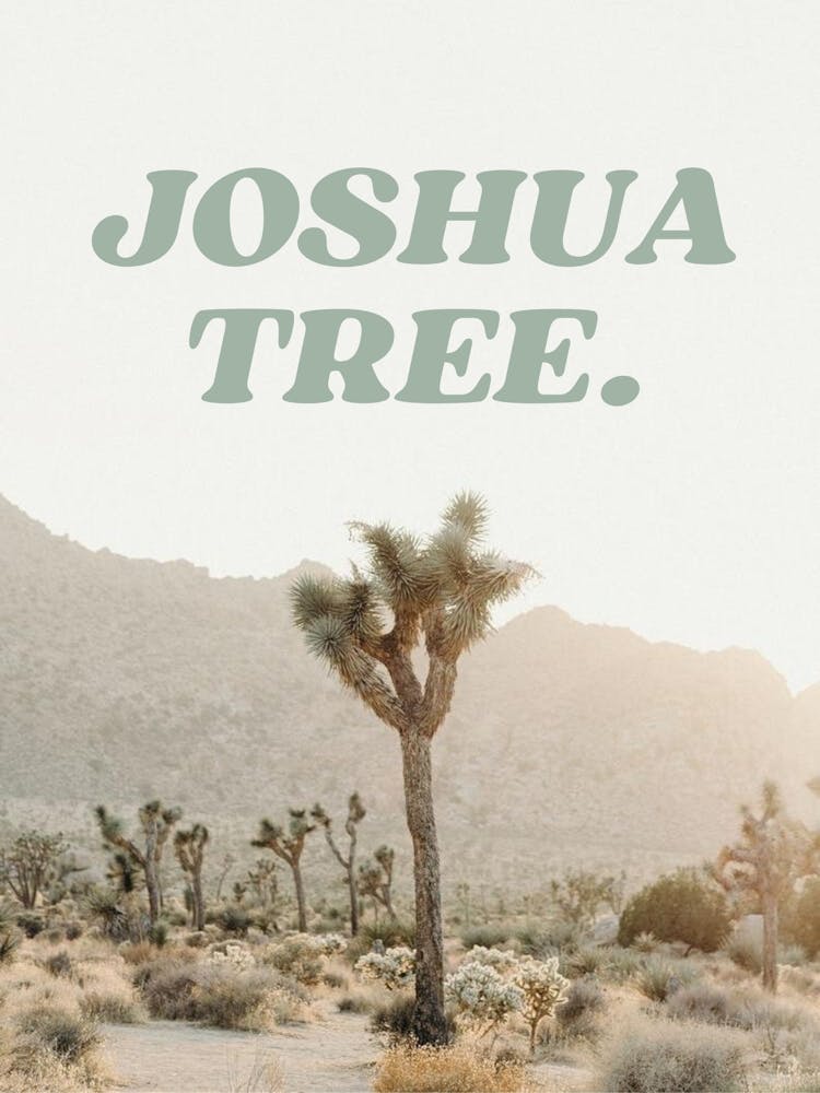 Joshua Tree Print