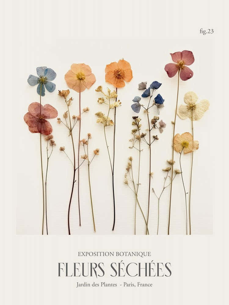 Fleurs Sechees, Dried Flowers Exhibition Poster 23