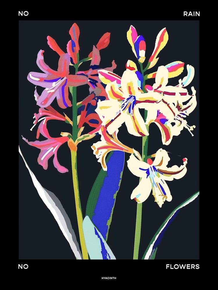 No Rain No Flowers Poster Hyacinth 1