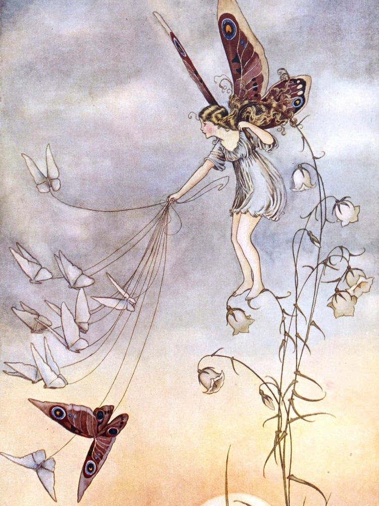 The Queen of the Butterflies - Ida Rentoul Outhwaite 1919 - Beautiful Remastered Colour Illustration Fairies and Butterfly, Witchcore Cottagecore Fairycore Witchy Fairytale High Definition