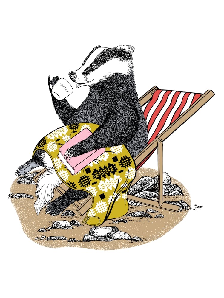 Badger On The Beach