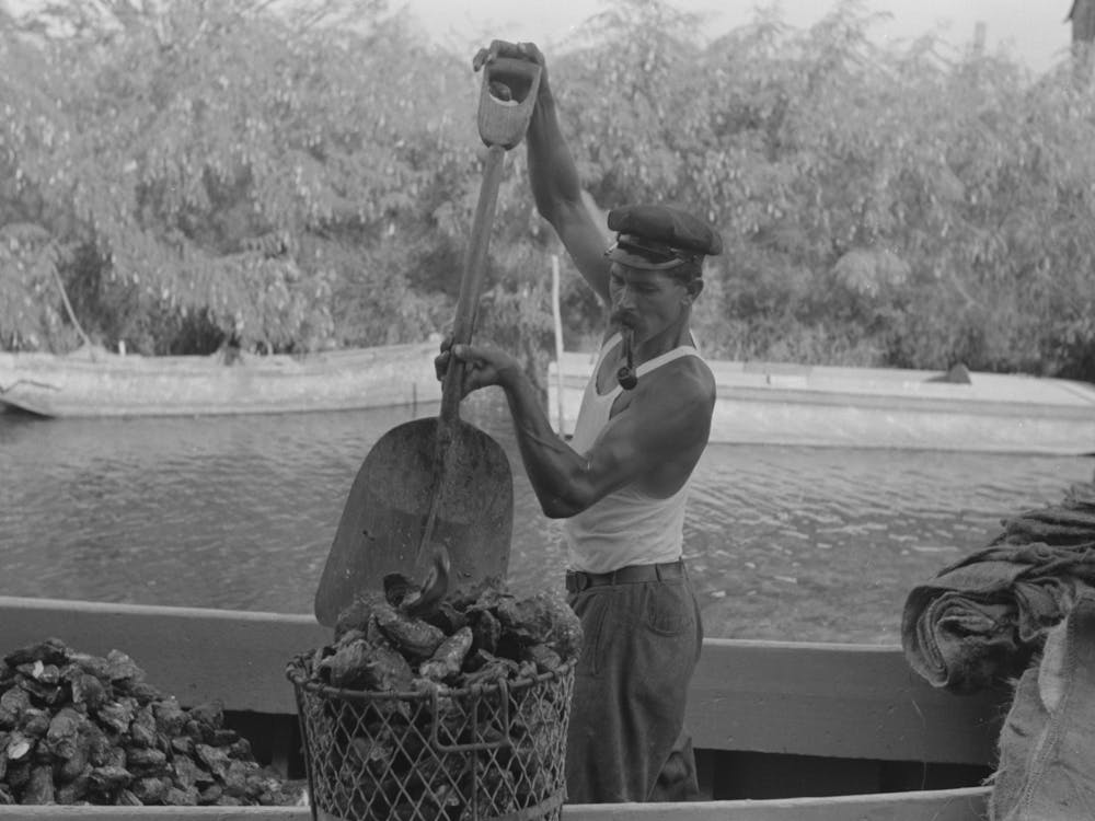 Fishermen Unloading Oysters, Olga, Louisiana By Russell Lee