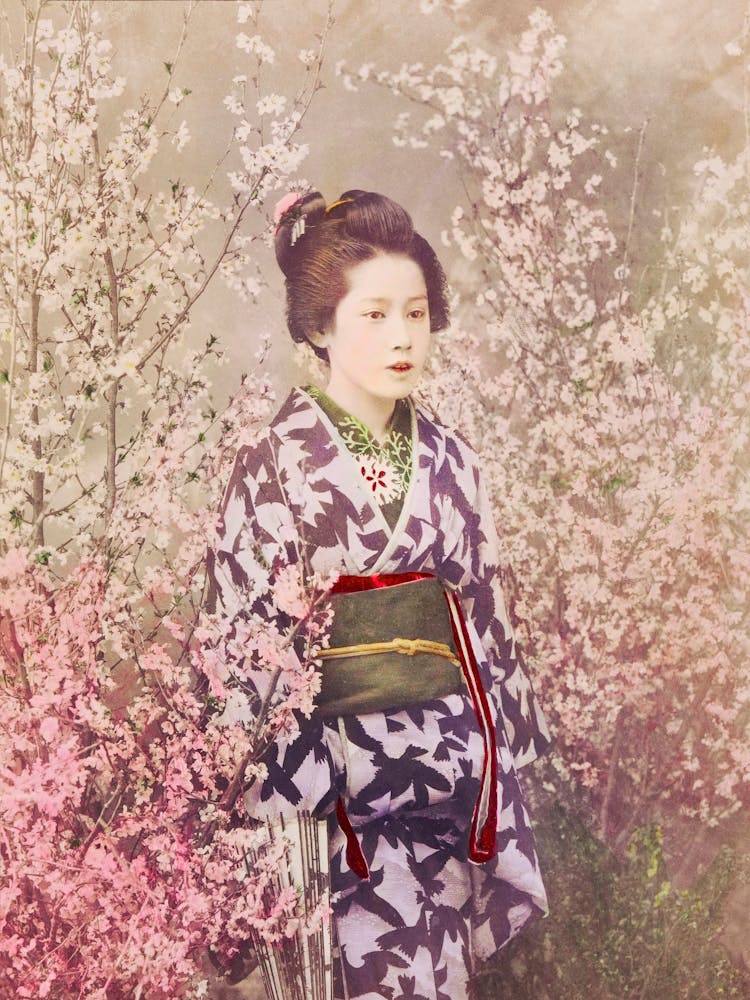 Beautiful Photomechanical Prints Of A Geisha And Cherry Blossom, Ogawa Kazumasa