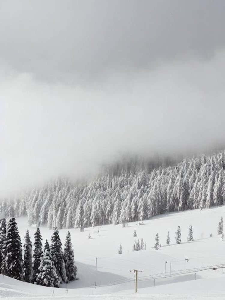 Rusutsu, Japan Black And White Skiing Poster