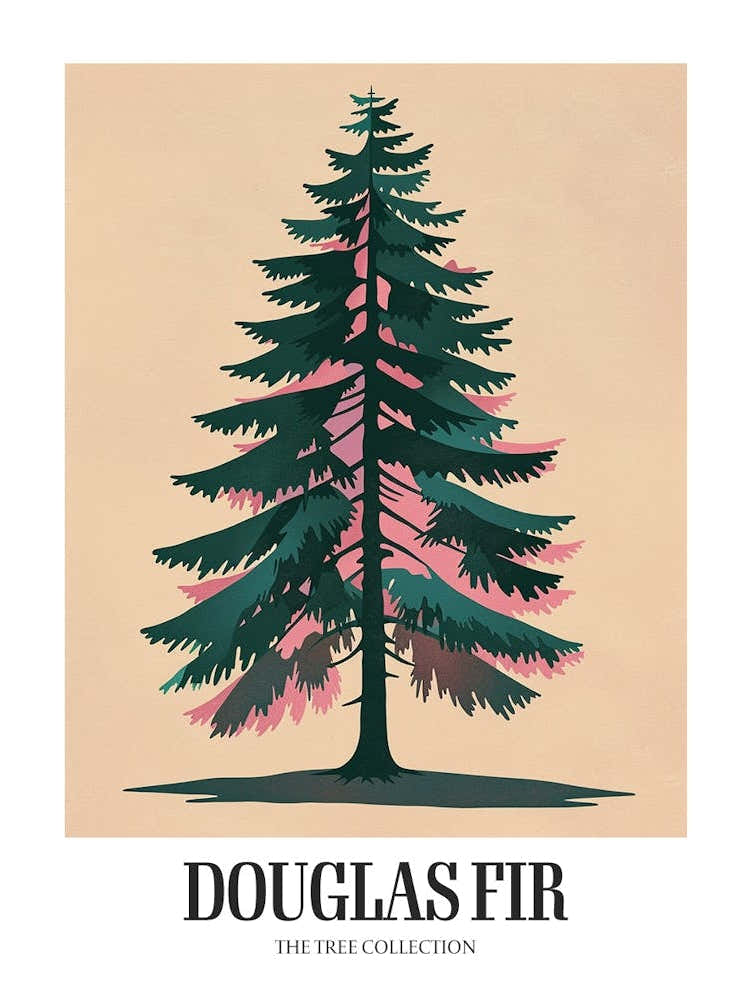 Douglas Fir Tree Illustration Colourful 3 Poster