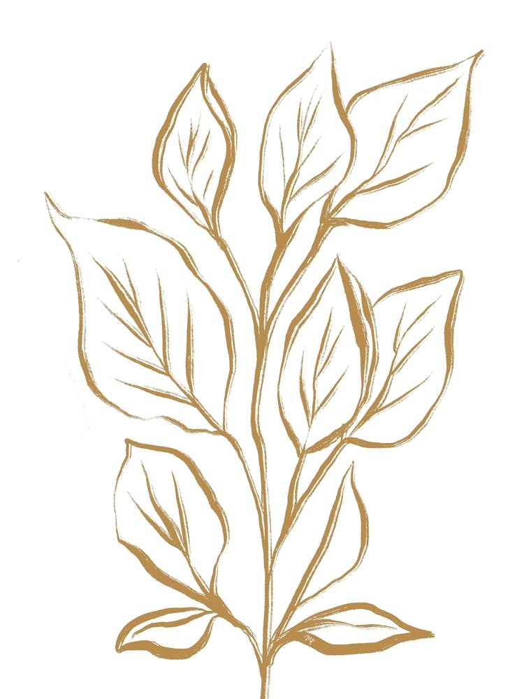 Leafy Plant One