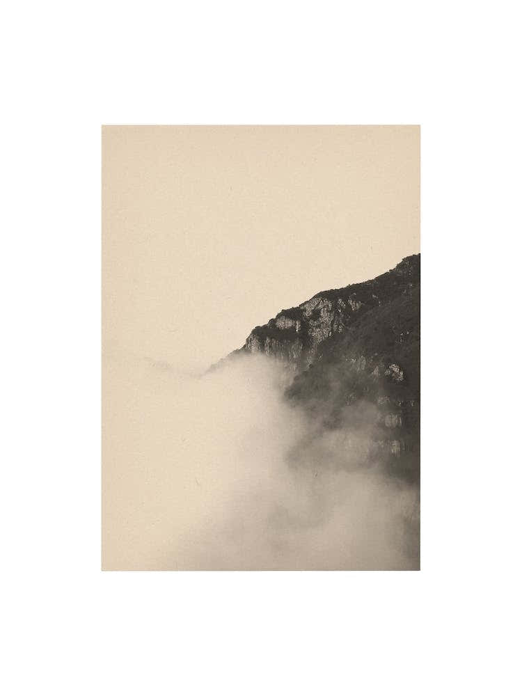 Nature Mix And Match 24