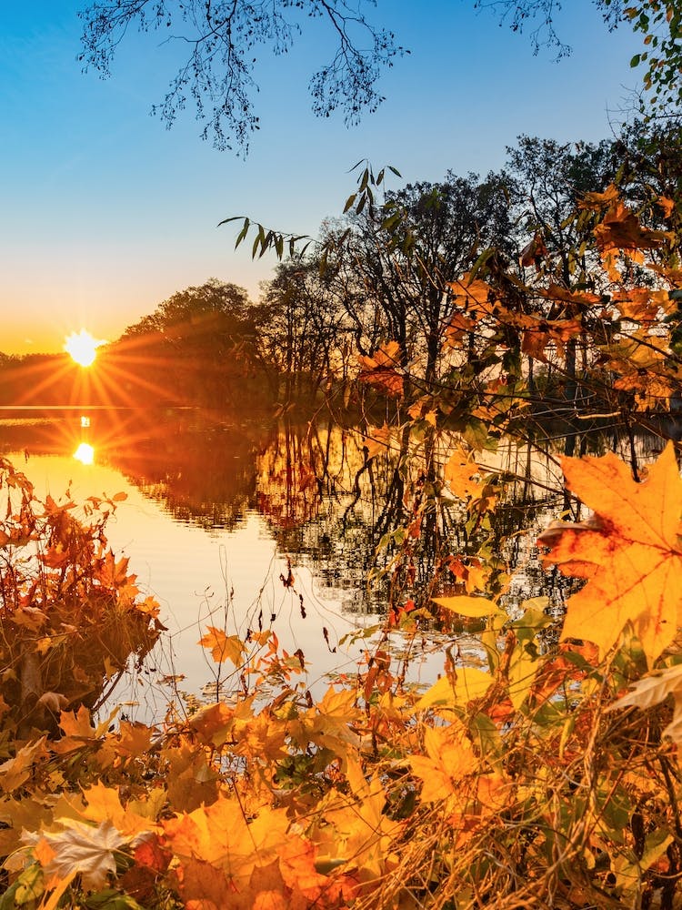 Sunset on lake water with tree at fall season