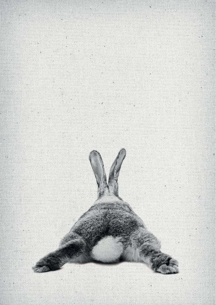 Frolein Rabbit III