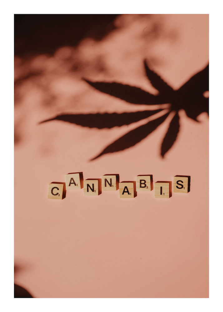 Cannabis Pink