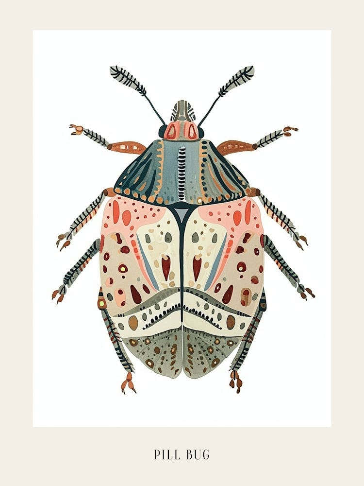 Colourful Insect Illustration Pill Bug 12 Poster