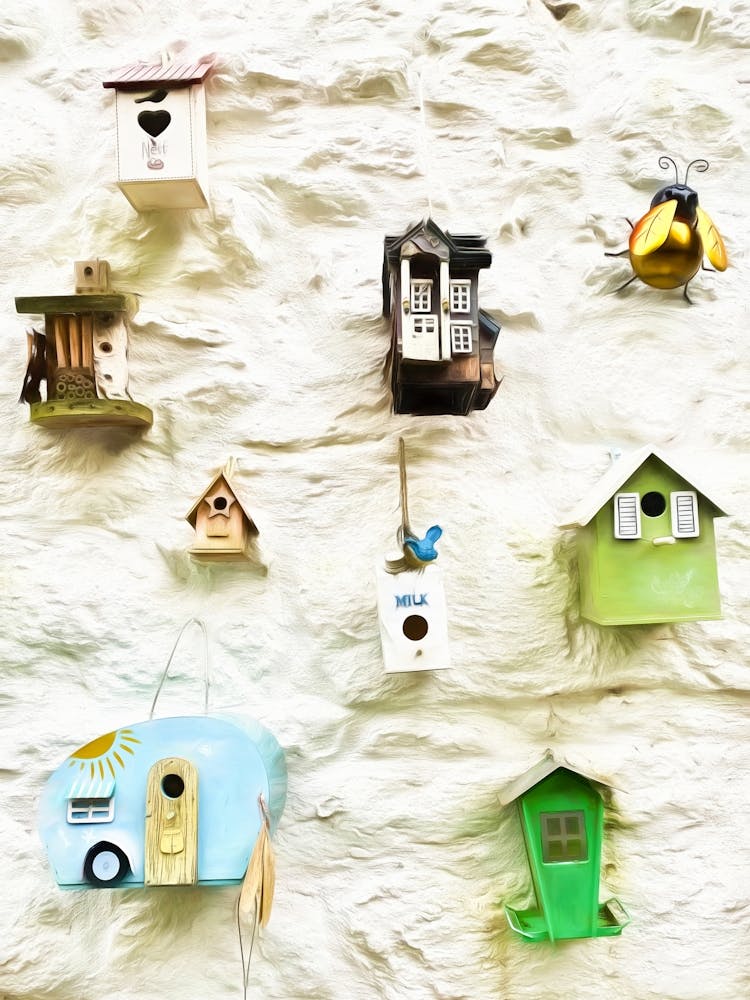 Bird Boxes On Whitewashed Wall