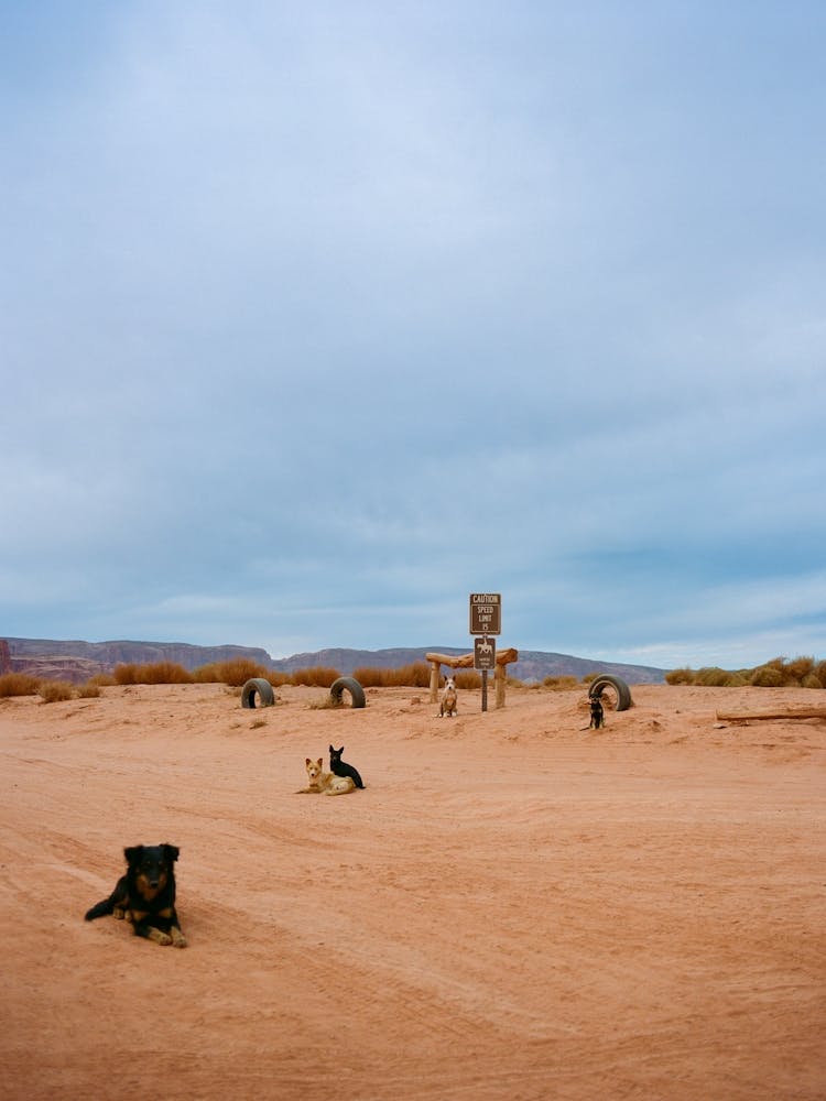 Monument Valley VIII on Film