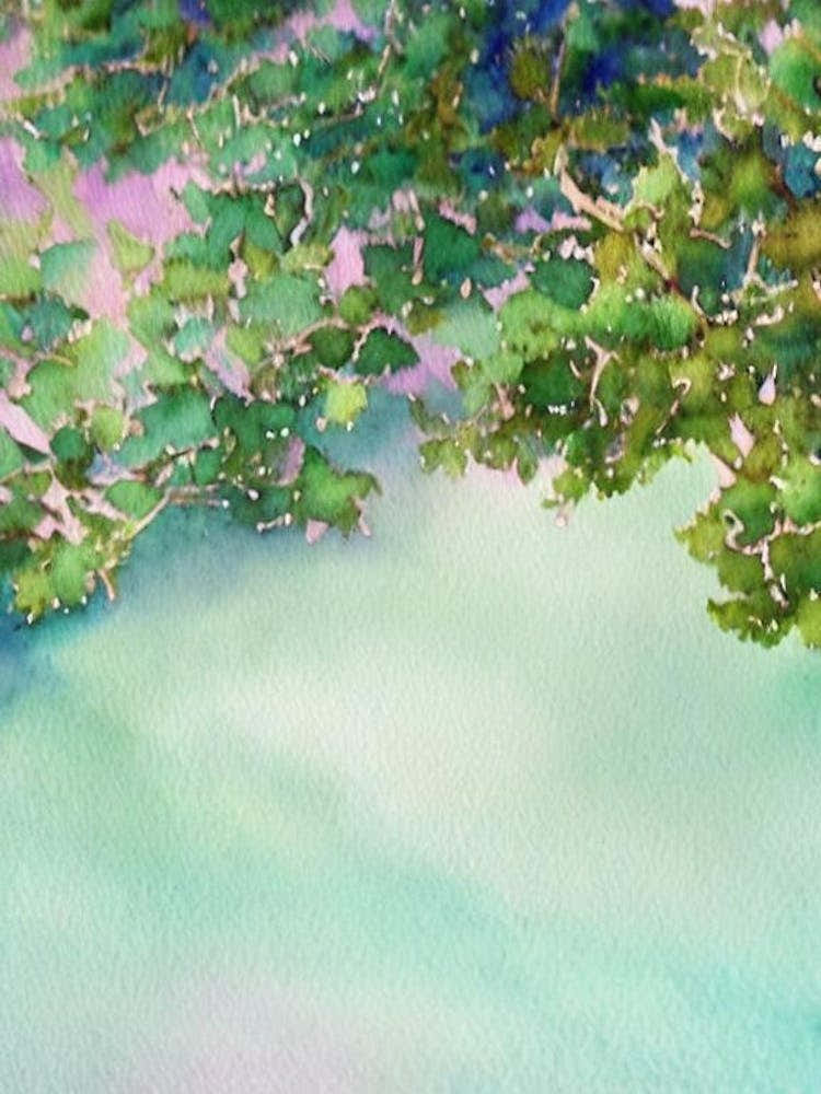 Acropora Granulosa Storybook Watercolour