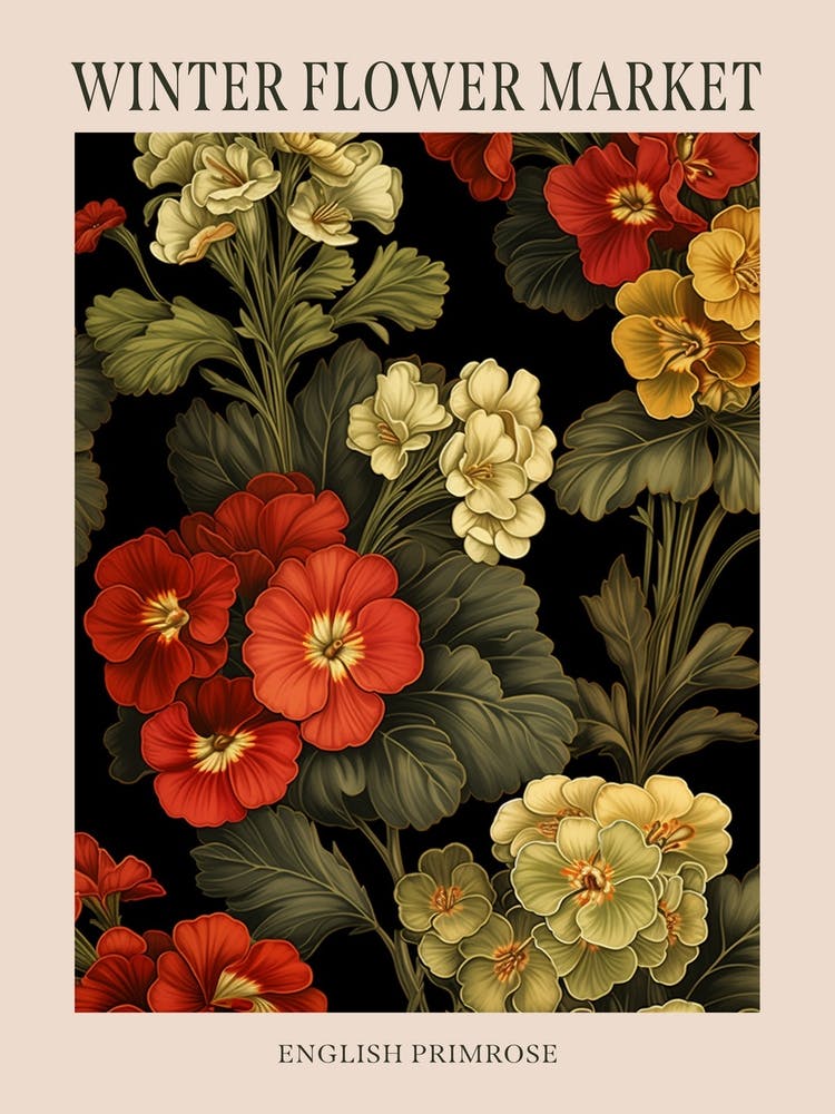 English Primrose 1 Winter Flower Market Poster