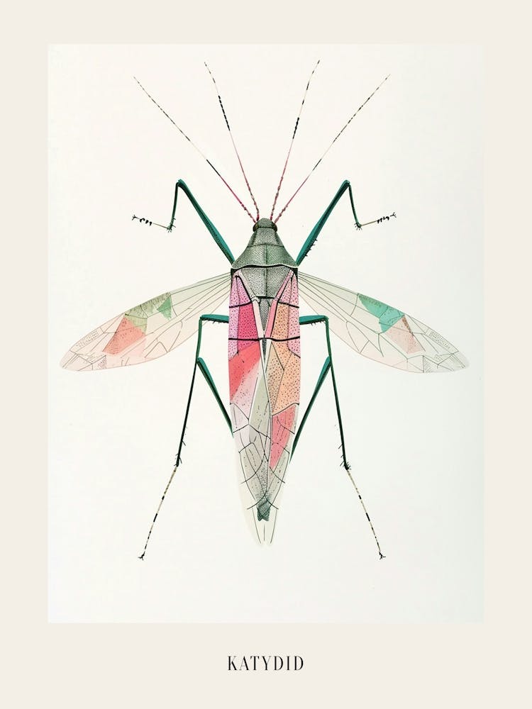 Colourful Insect Illustration Katydid 9 Poster