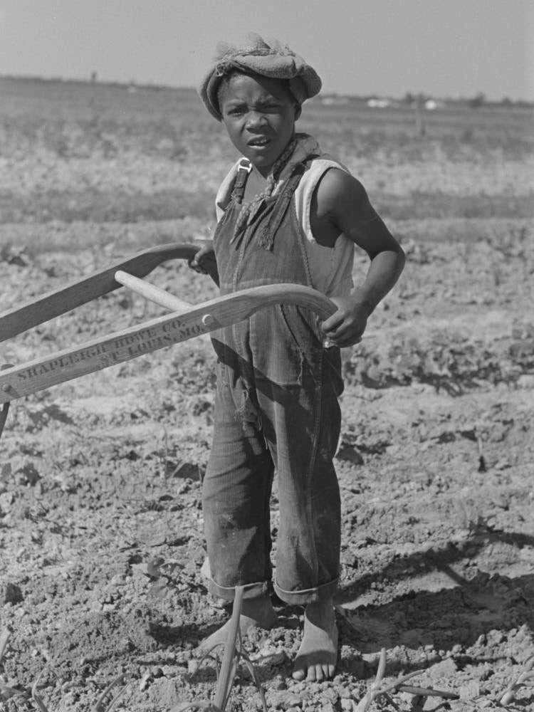 New Madrid County, Missouri,Child Of Sharecropper Cultivating Cotton By Russell Lee