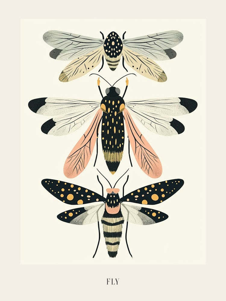 Colourful Insect Illustration Fly 3 Poster