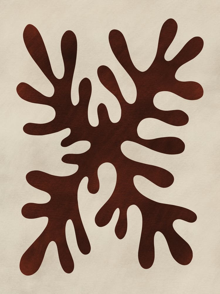 Minimal Black Coral Study