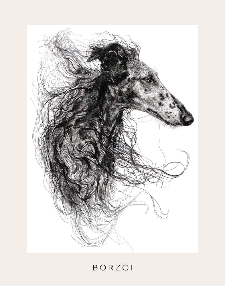 Borzoi Dog Line Sketch 2 Poster