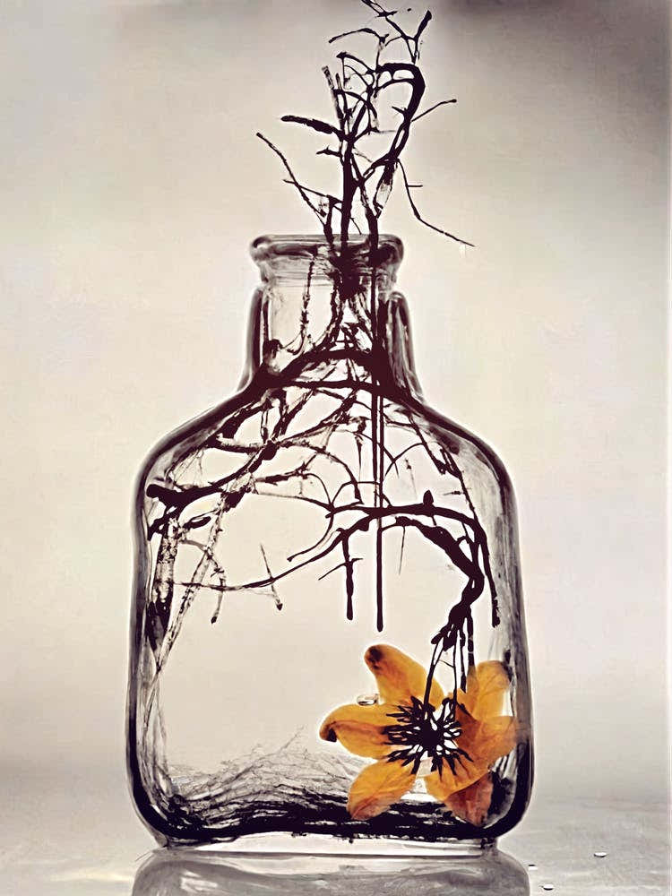Flower In A Bottle