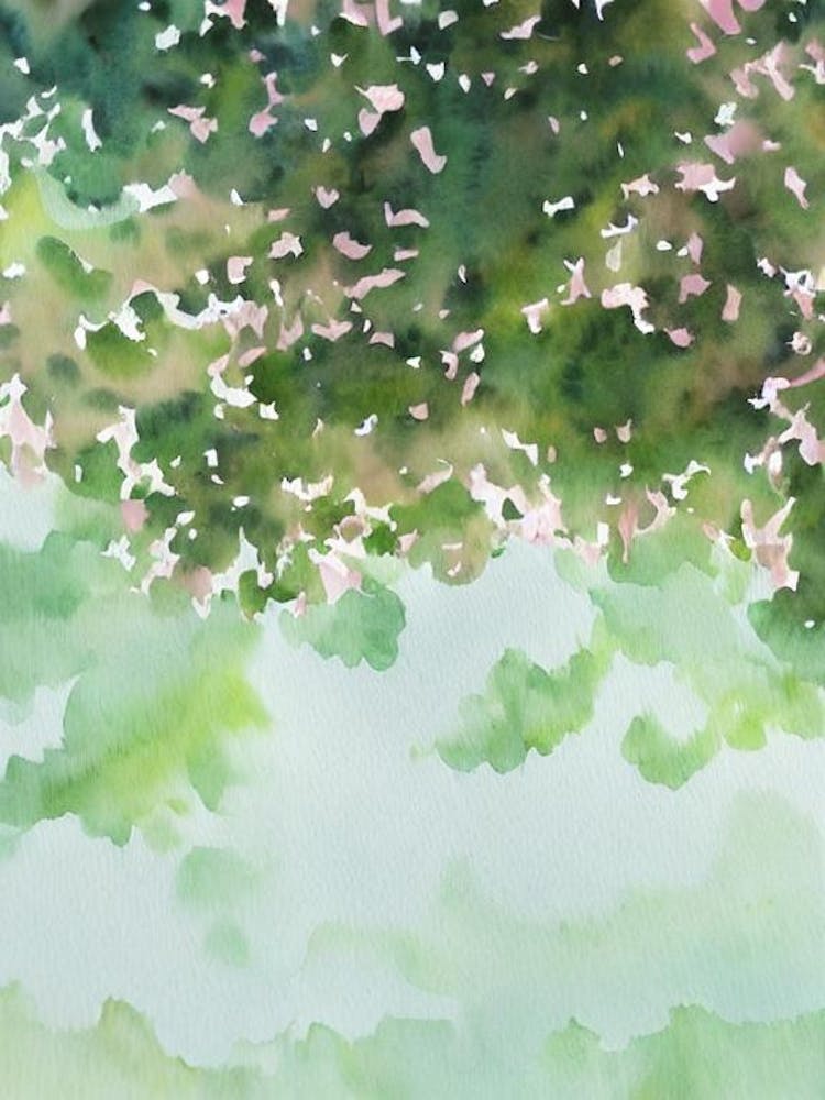 Acropora Nana Storybook Watercolour