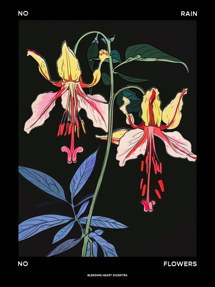 No Rain No Flowers Poster Bleeding Heart Dicentra 2