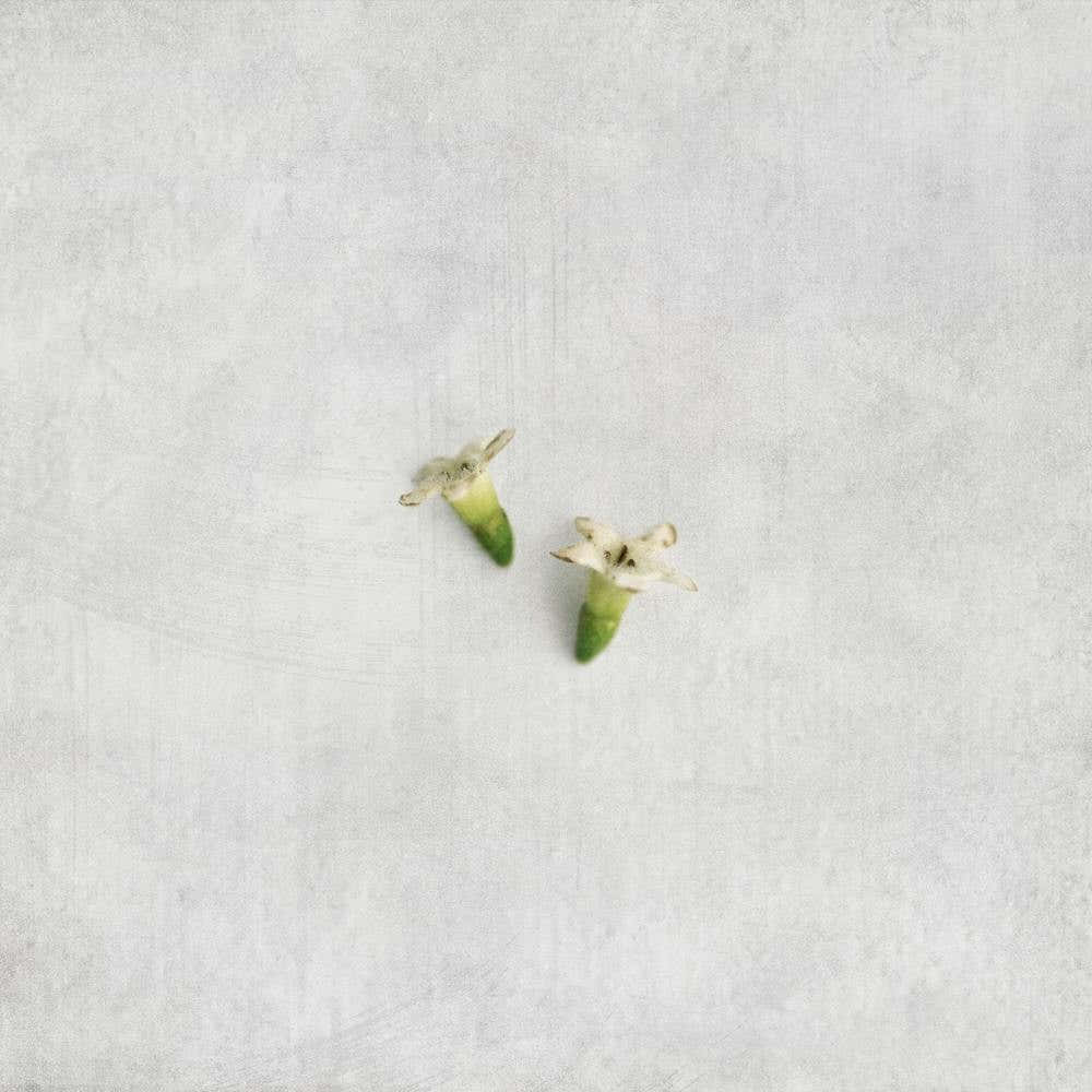 Tiny White Florals Square