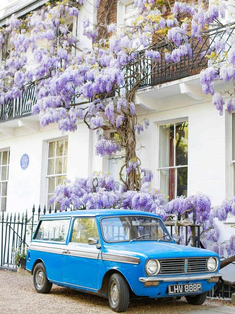 Blue Car Wisteria London