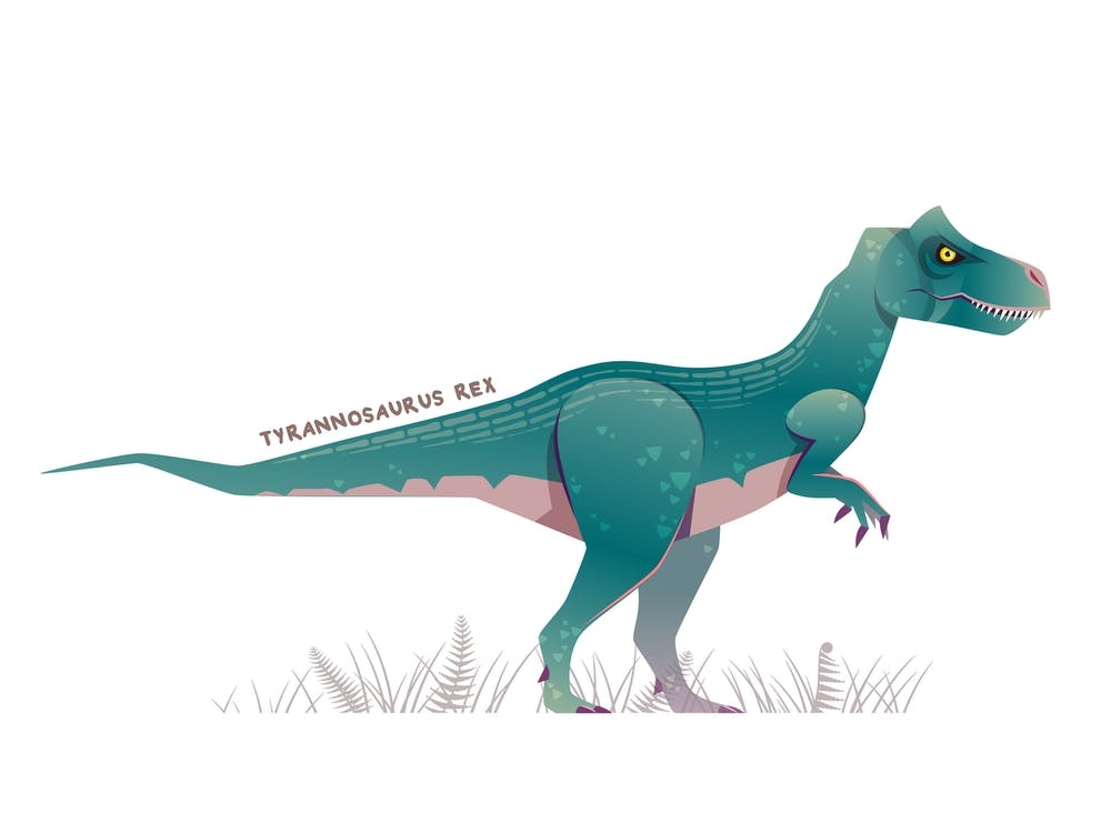 T Rex Tyrannosaurus Dinosaur