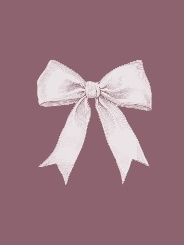 White Bow Illustration
