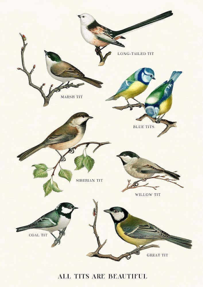 All Tits Are Beautiful Cream & Brown