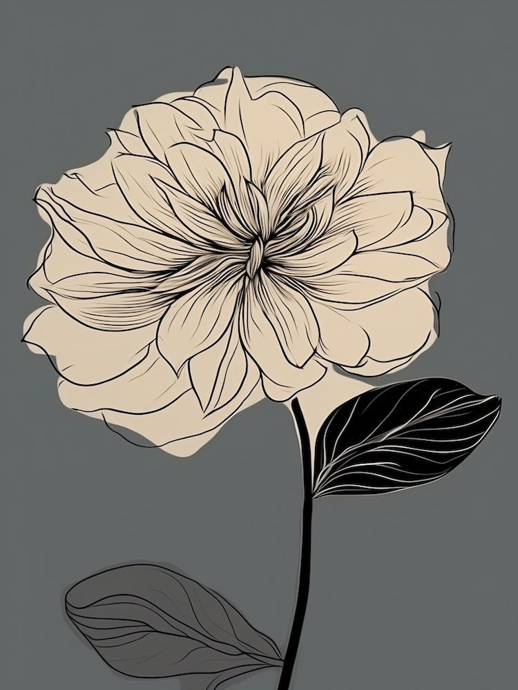 Dahlia Line Art Flowers Illustration Neutral 2