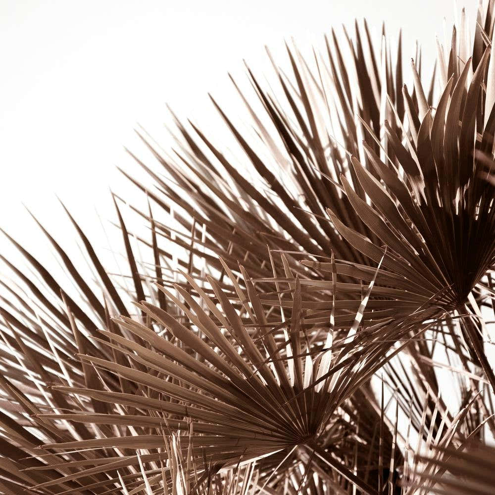 Gorgeous Golden Palm Leaves Square