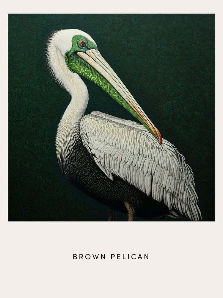 Ohara Koson Inspired Bird Painting Brown Pelican 1 Poster