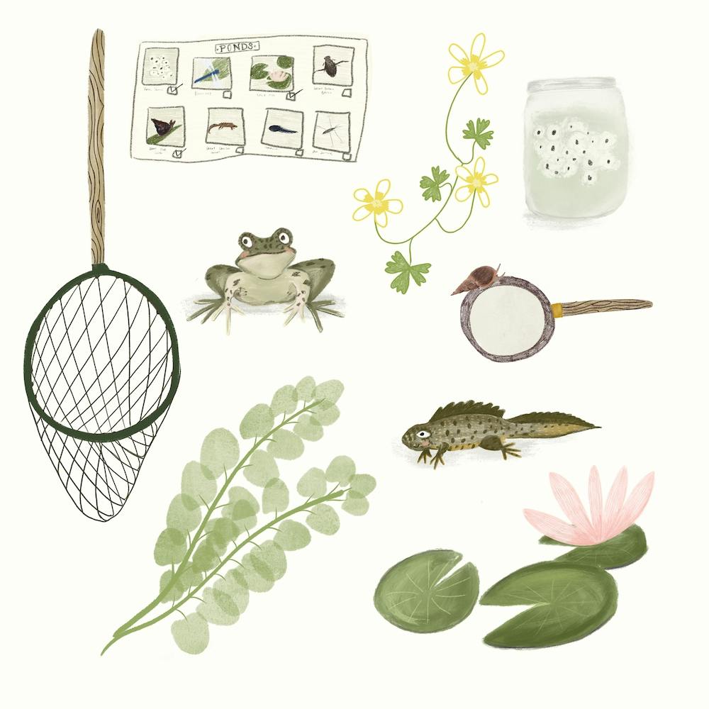 Pond Dipping Square
