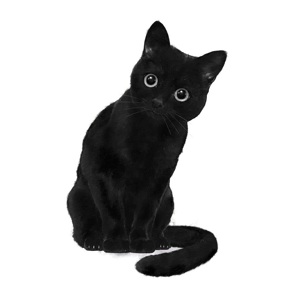 Spooky Cute Cat Square