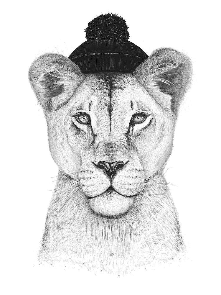 Lioness In Hat