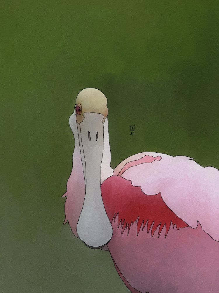 Roseate Spoonbill
