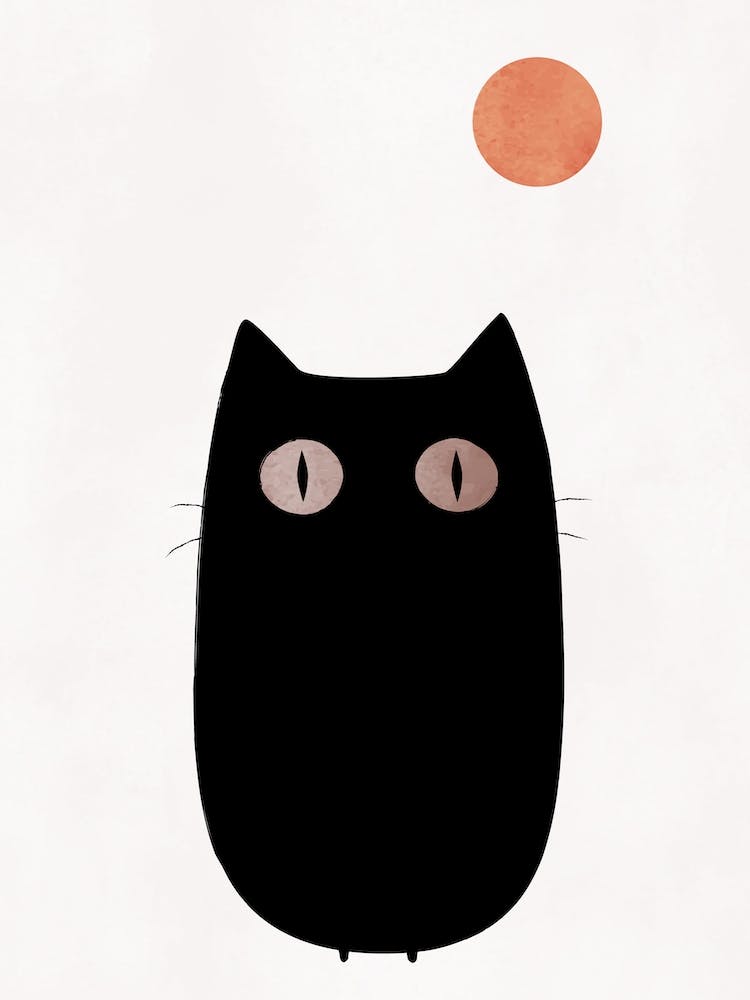 Curious Cat