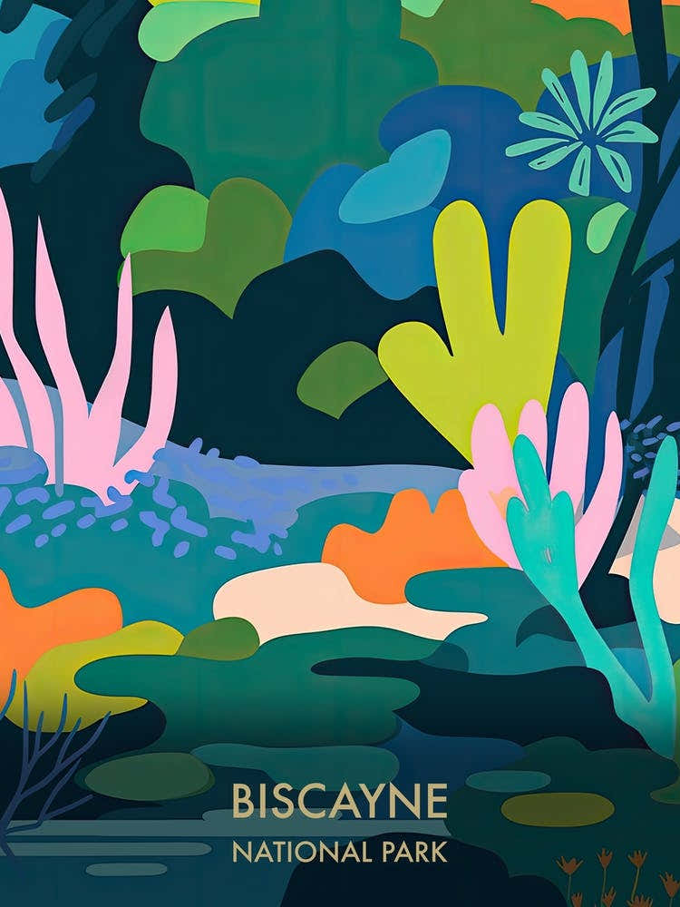 Biscayne National Park Travel Poster Matisse Style 3