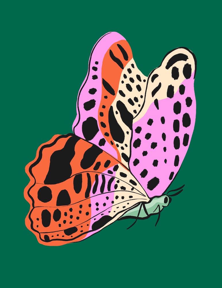Bright Butterfly on bold green