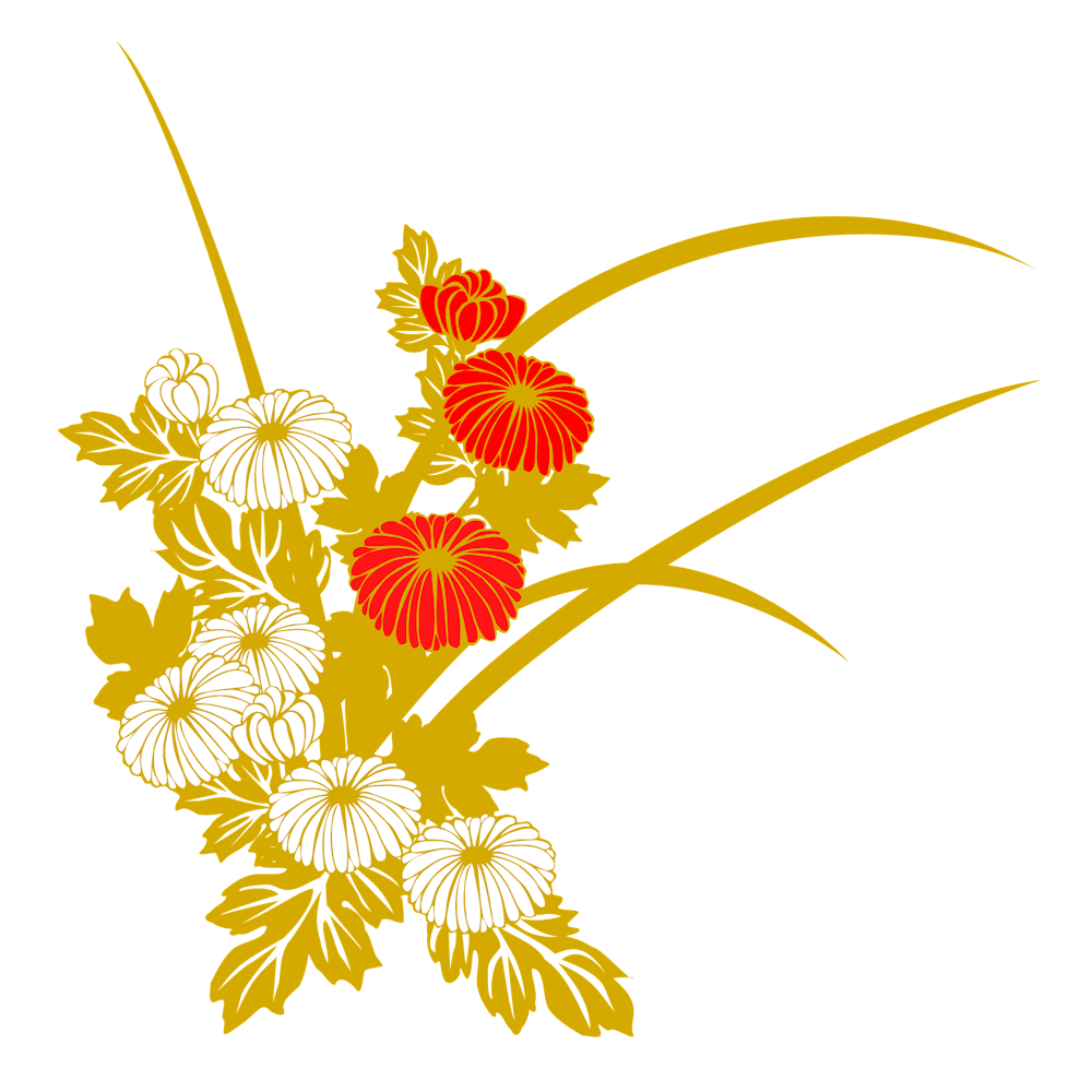 Chrysanthemum Flowers Flower Flora Autumn