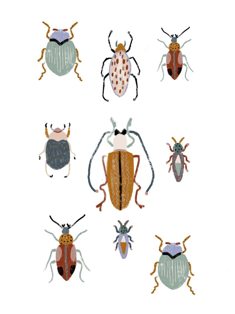 Bugs