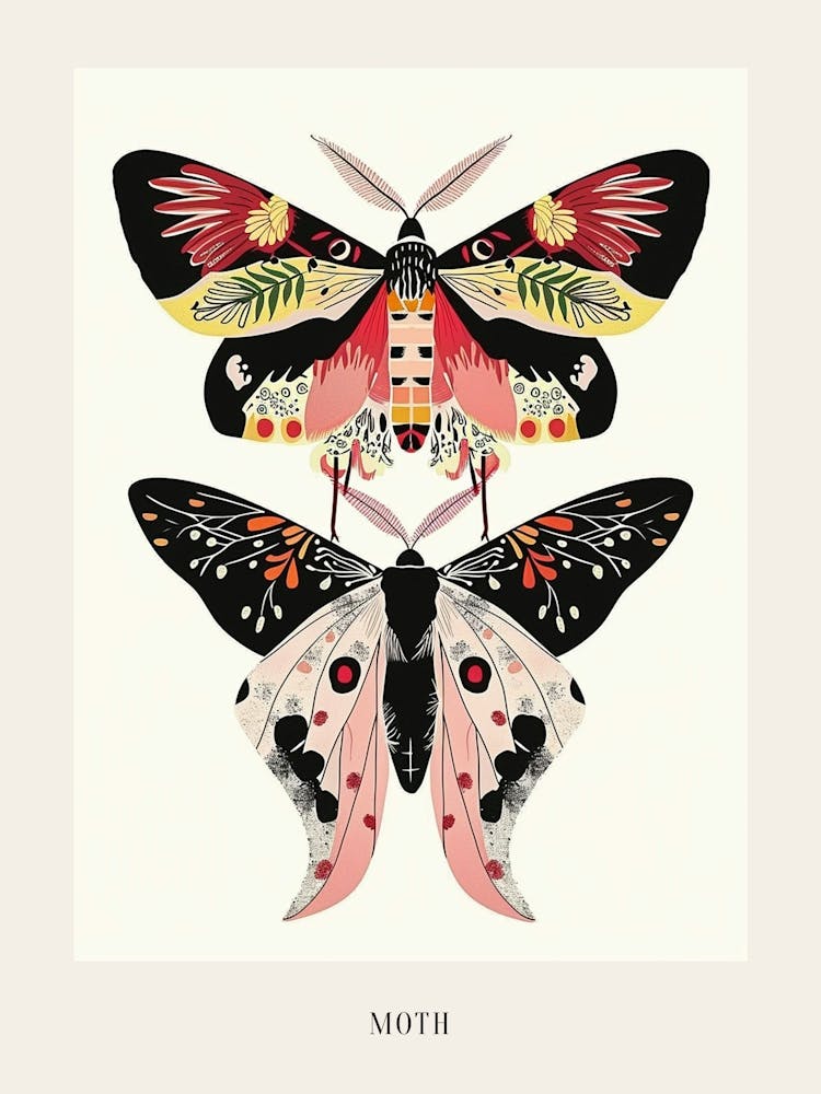 Colourful Insect Illustration Moth 23 Poster