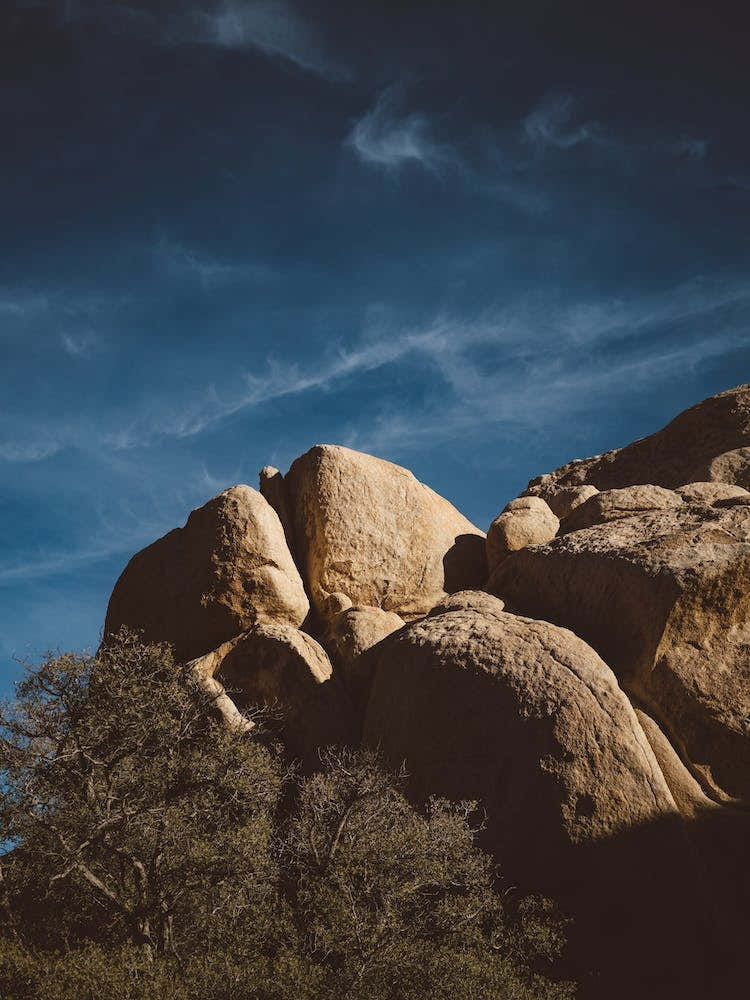 Joshua Tree National Park XIII