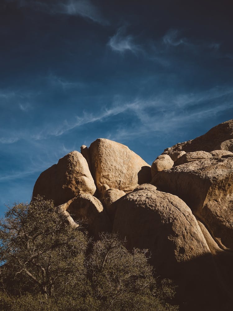 Joshua Tree National Park XIII